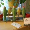 A photo of Terri Hannah Home & Garden