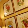 A photo of Terri Hannah Home & Garden